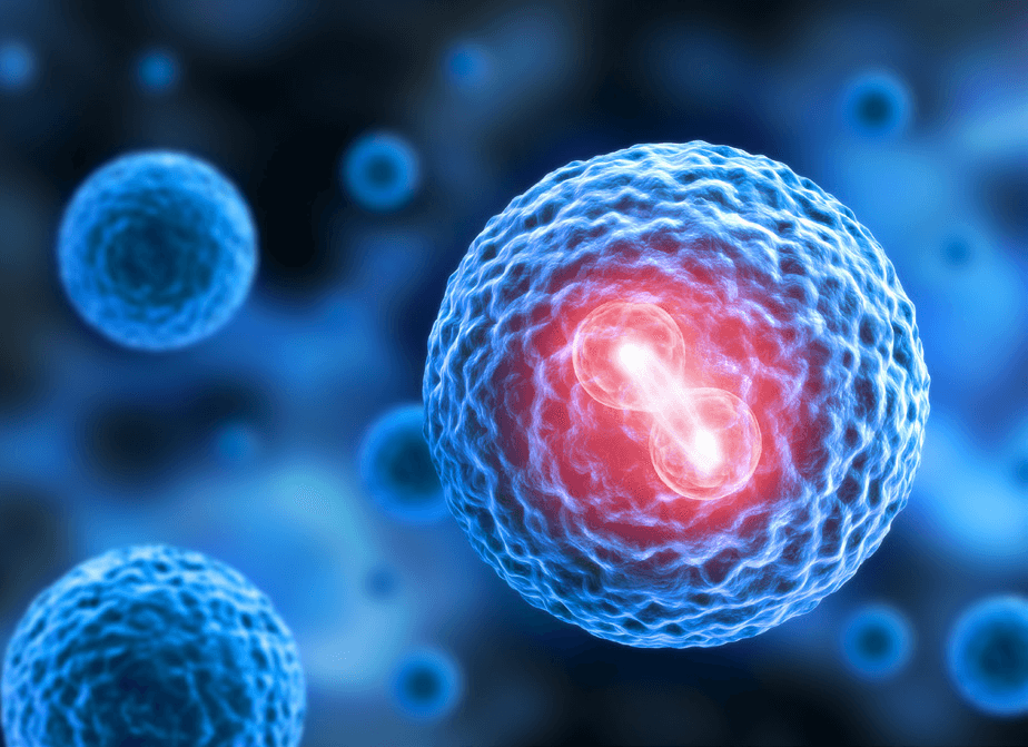 tecar - biostimulacny efekt